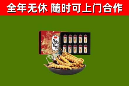 新平回收冬虫夏草价格