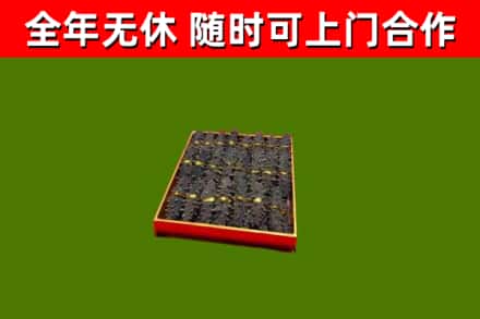 新平回收海参
